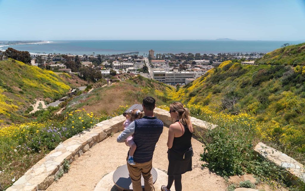 52893308673_539b3aef0c_k-1-1024x640